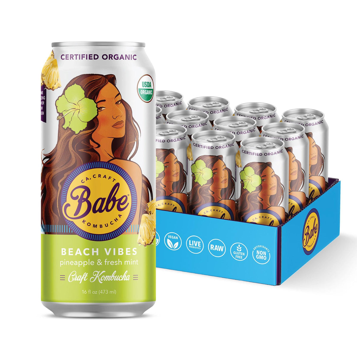 KombuchaBeachVibes12pack_1200x