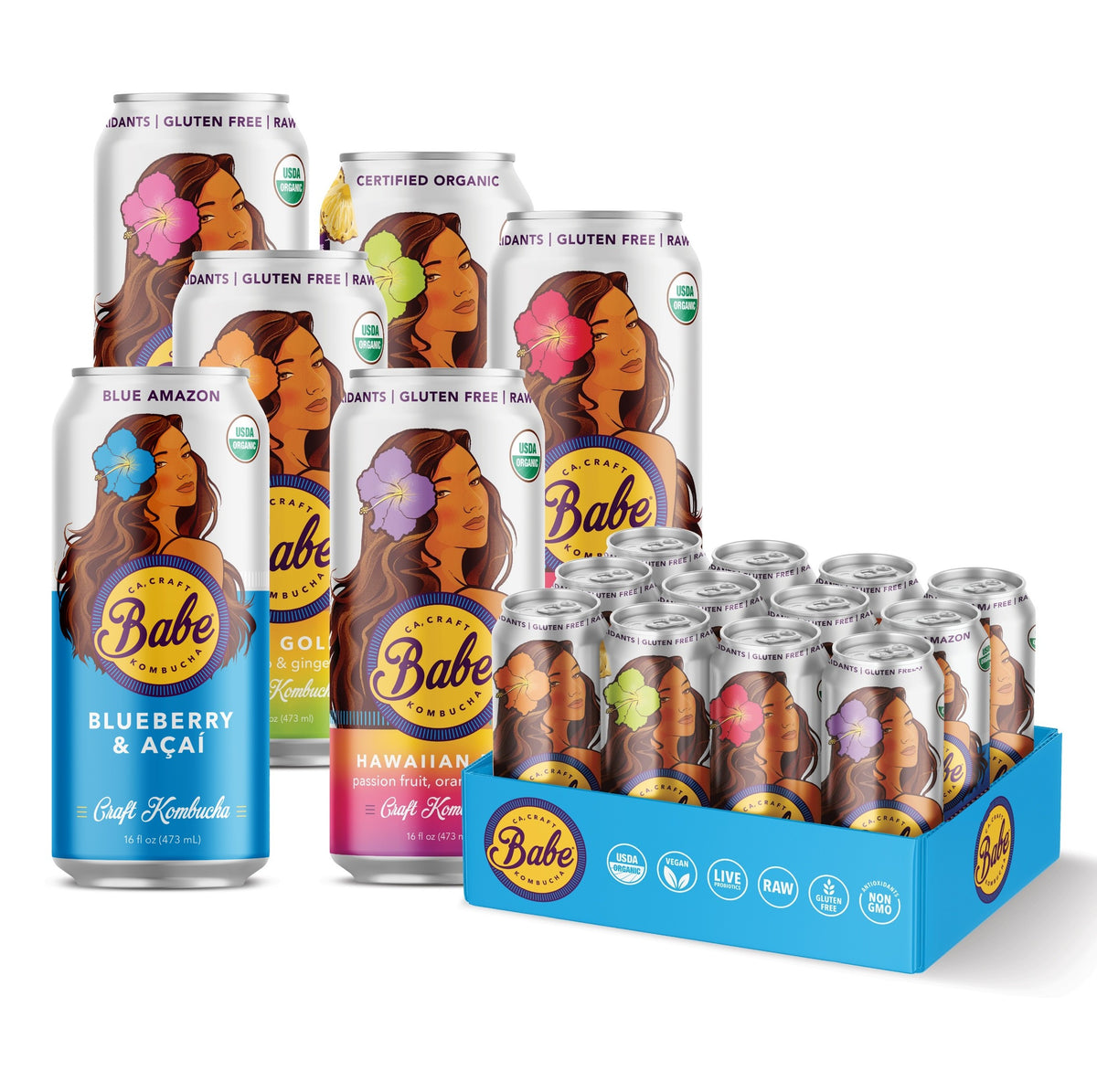 Best Seller Kombucha Party Pack – Babe Beverages
