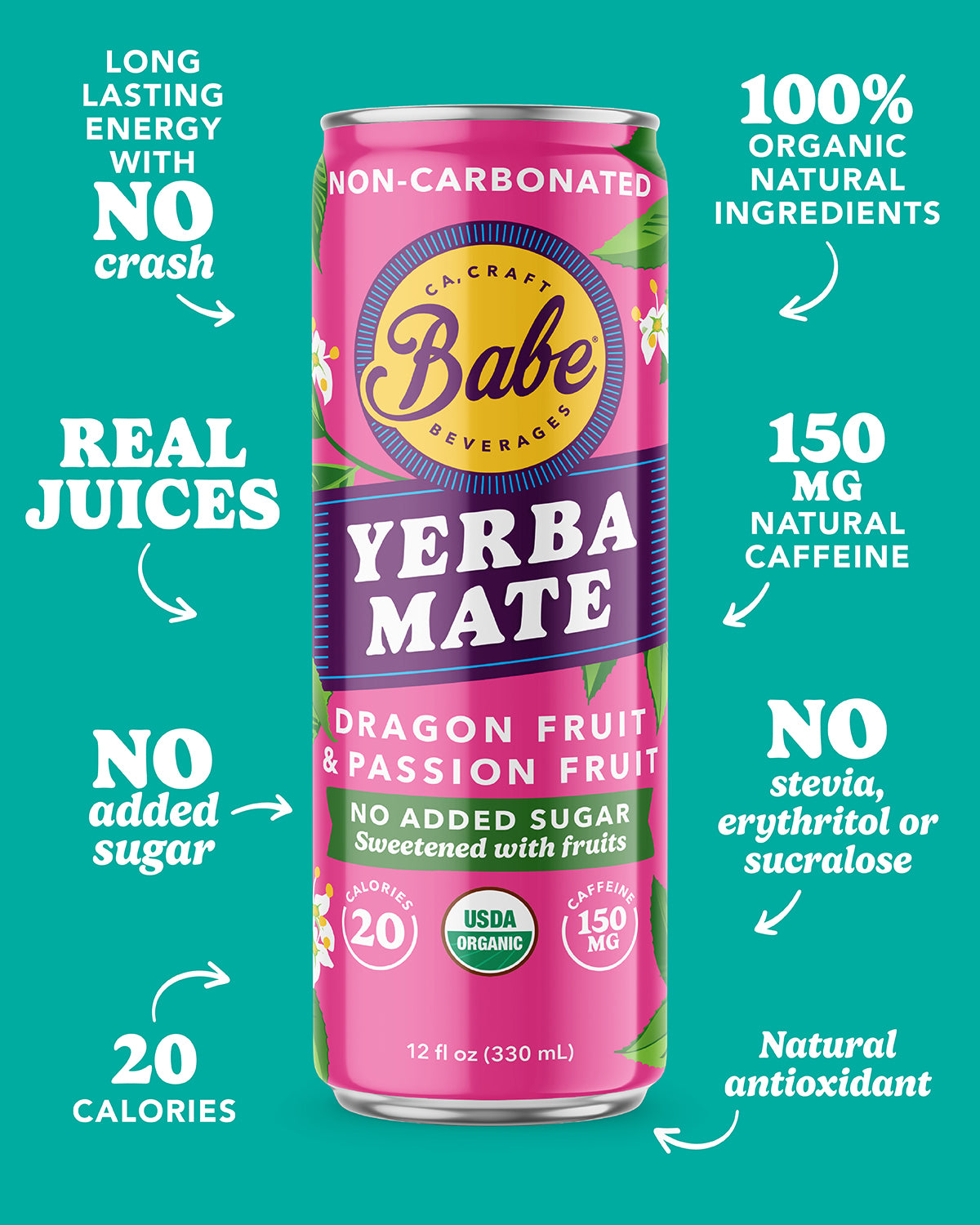 Yerba Mate Passion Dragon 12 oz - 12 pack