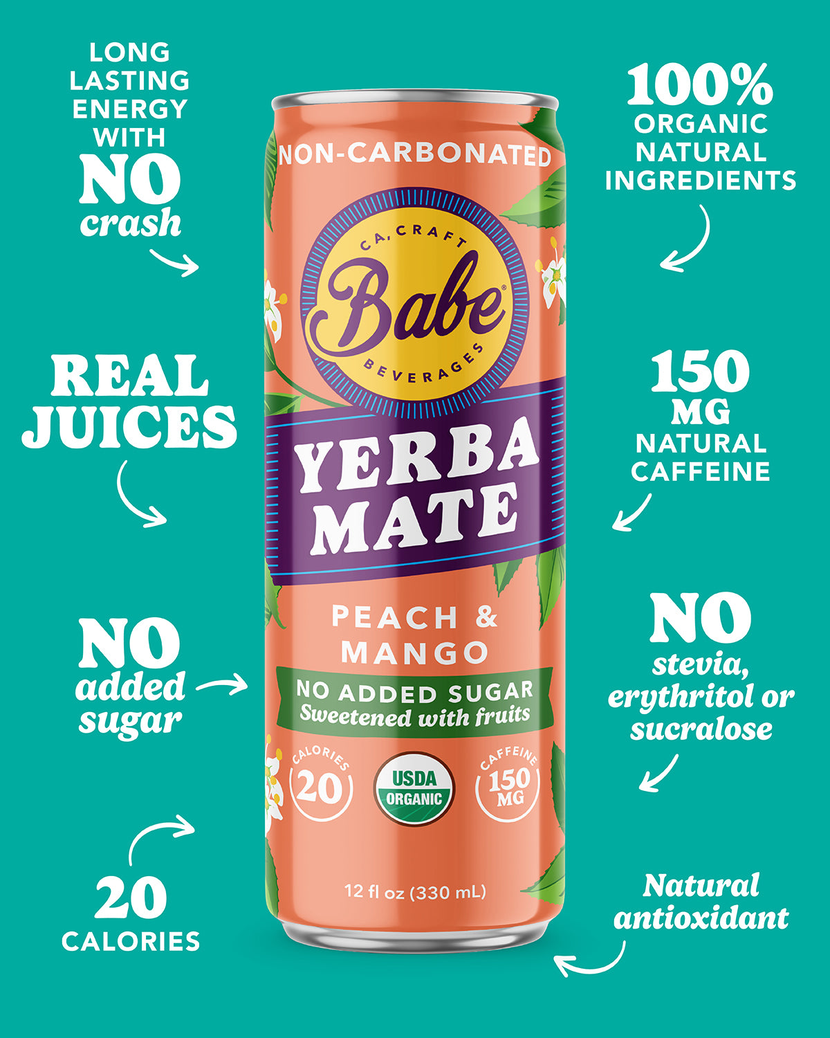 Yerba Mate Passion Dragon + Peach Mango 12 oz - 12 pack