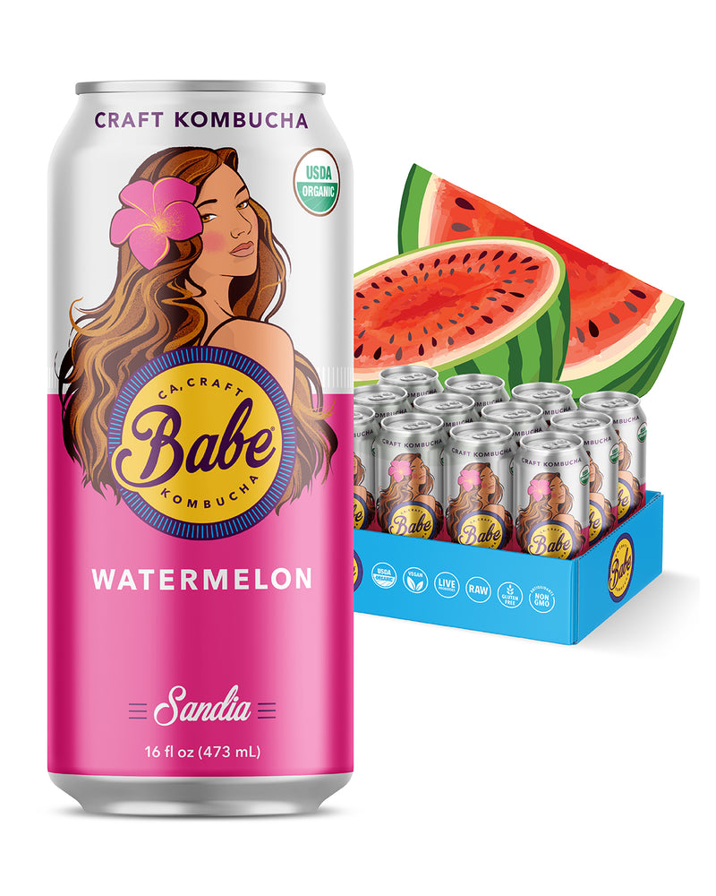 SBP – Shake Babe Kombucha Sandia – Babe Beverages